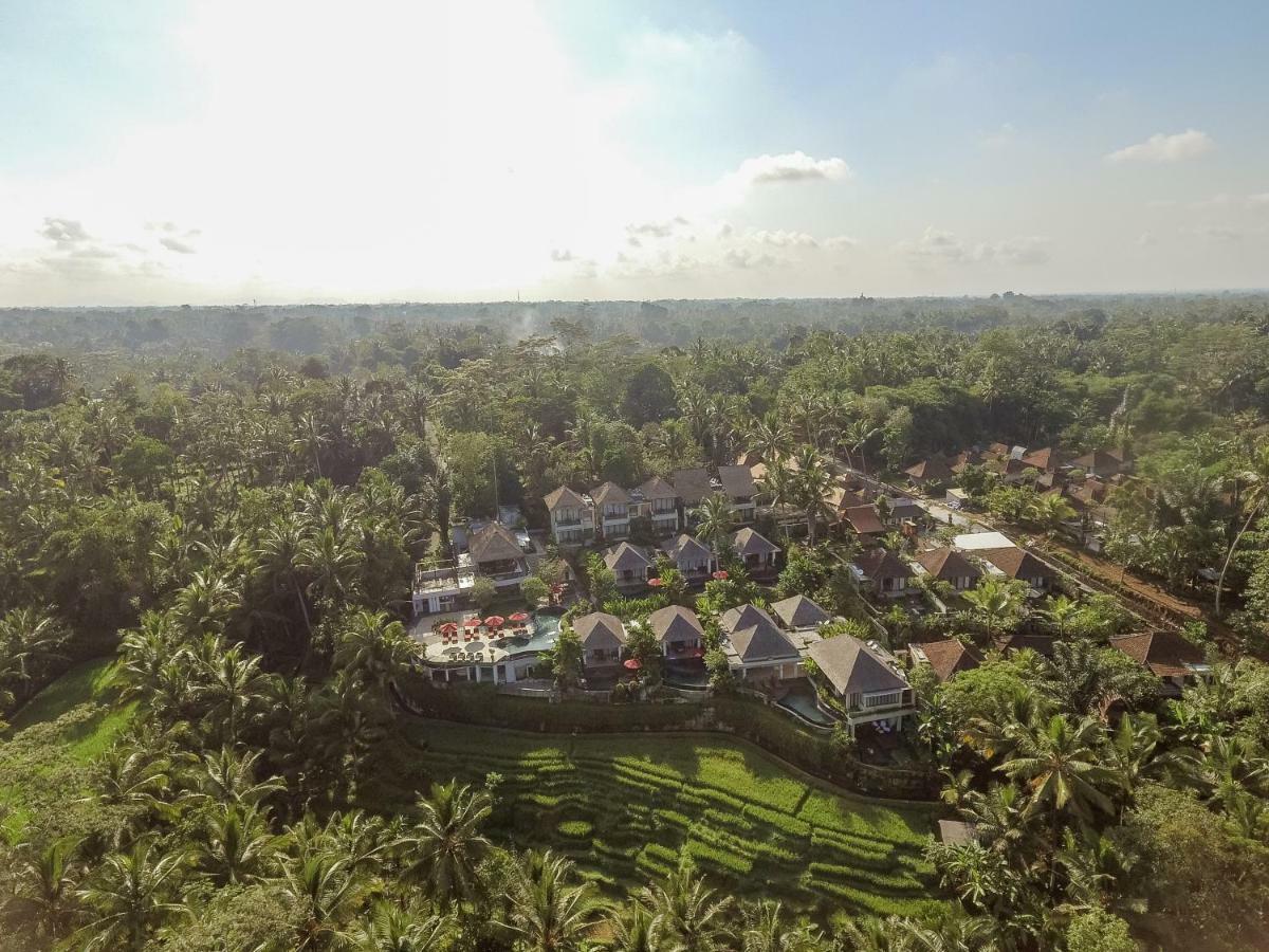 Puri Sebali Resort Ουμπούντ Εξωτερικό φωτογραφία